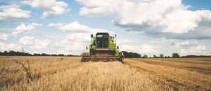 Agriculture cereal clouds 175389