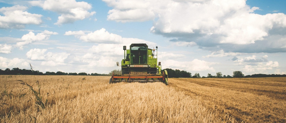 Agriculture cereal clouds 175389