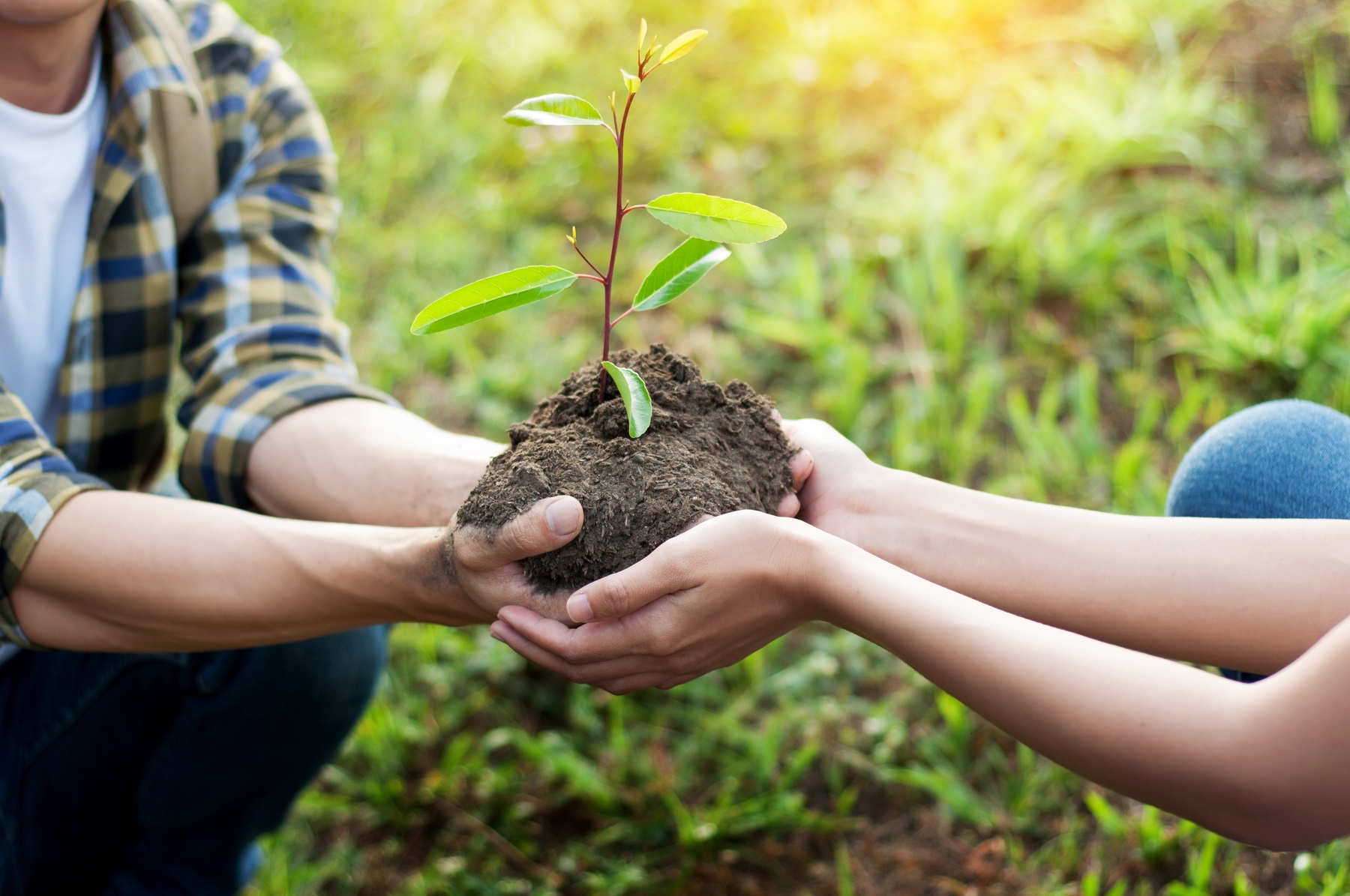 Charities-Adobe Stock_191487976