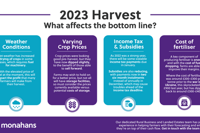 Monahans September2023 Harvest