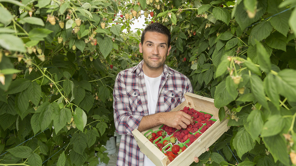 HR rules for seasonal workers